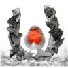 'Almost Round Robin' Open Edition Print